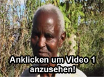 Traditional Healer