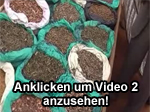 Heilkräuter